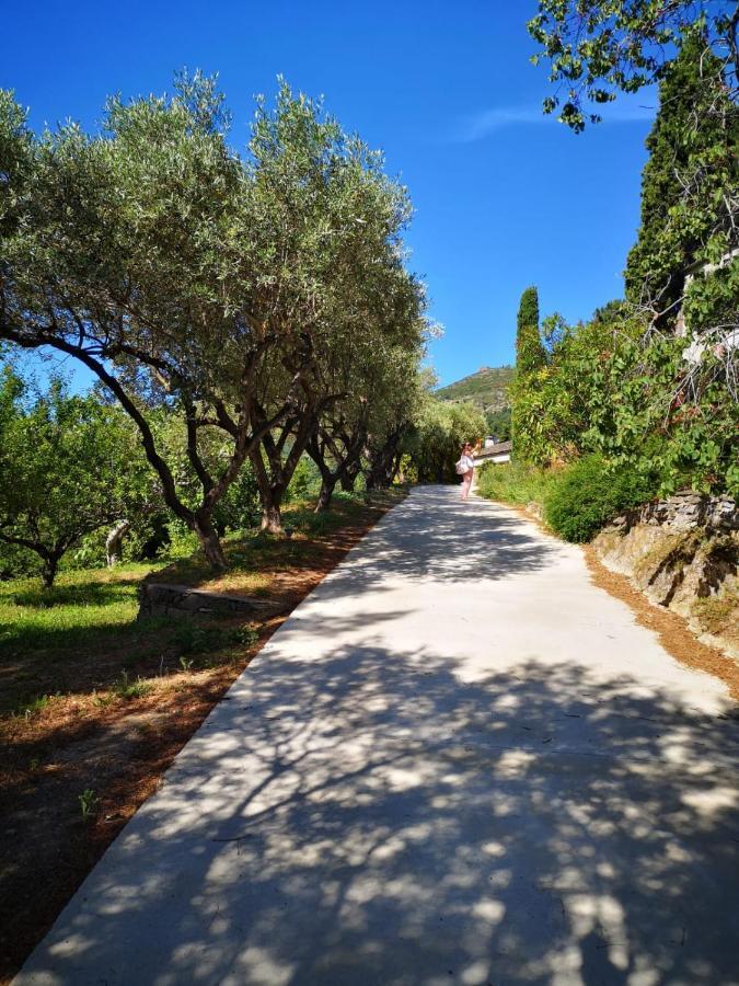Villa Milanu اوليتا المظهر الخارجي الصورة