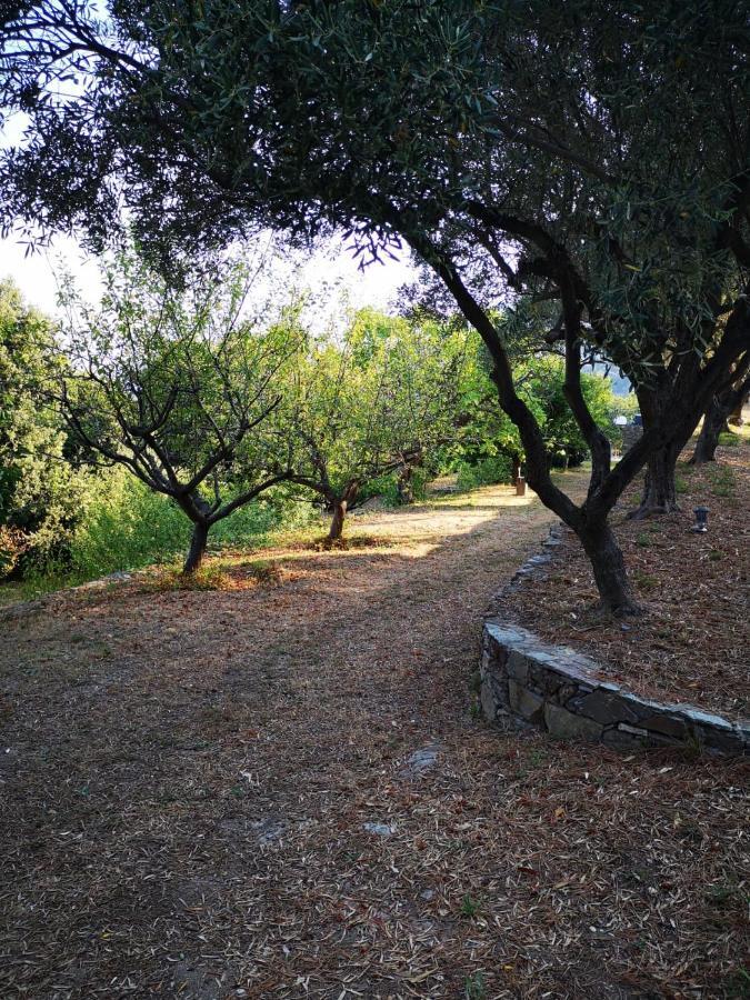 Villa Milanu اوليتا المظهر الخارجي الصورة